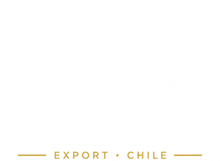 Logotipo de Andes Global Foods: cóndor sobre la cordillera de los Andes